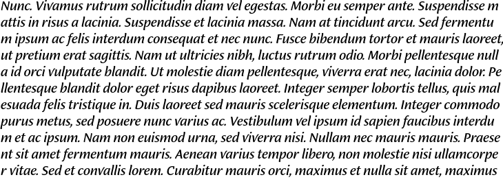 `Ciabatta Regular Italic` Preview