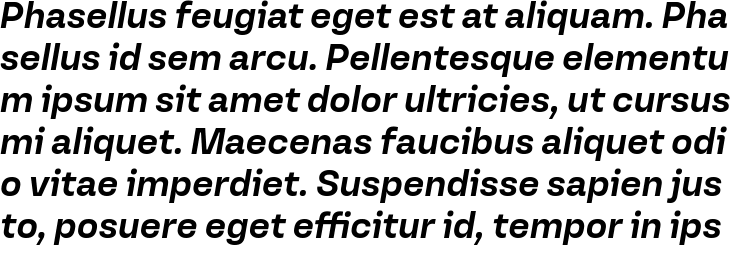 `Versos Test Bold Italic` Preview