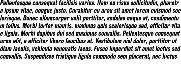 `Corpus Gothic Condensed Oblique` Preview