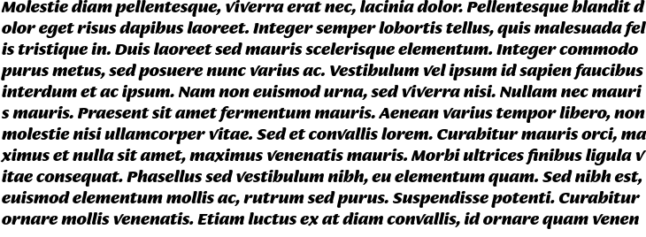 `Ciabatta Bold Italic` Preview
