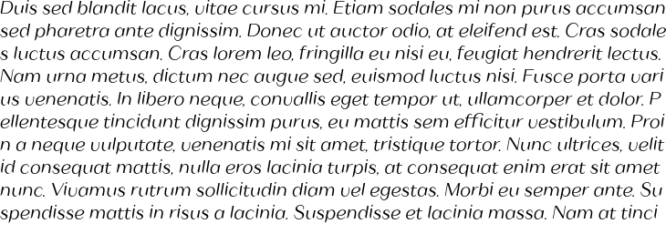 `Mavel Text Mediium Italic` Preview
