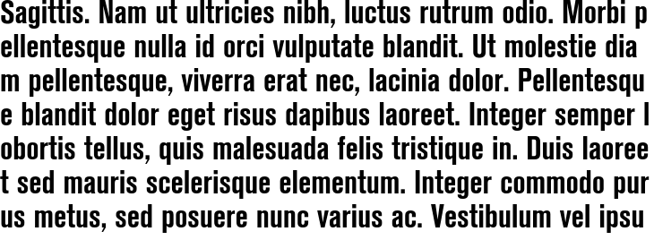 `Berthold Akzidenz Grotesk BE Bold Condensed` Preview