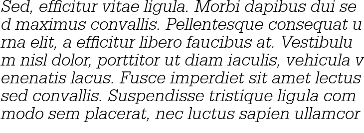 `Serifa Std Light Italic` Preview