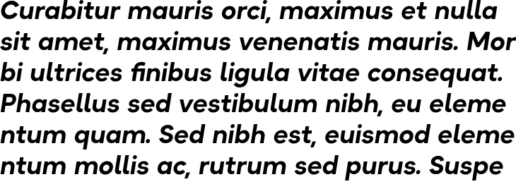 `Okta Neue Bold Italic` Preview