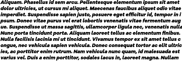 `Galano Grotesque Alt Heavy Italic` Preview