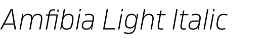`Amfibia Light Italic` Preview