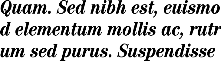 `Century Std Condensed Bold Italic` Preview