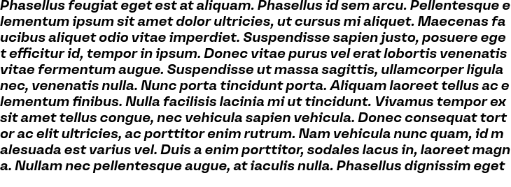 `Versos Test Bold Italic` Preview