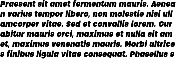 `Soliden Trial Black Condensed Italic` Preview
