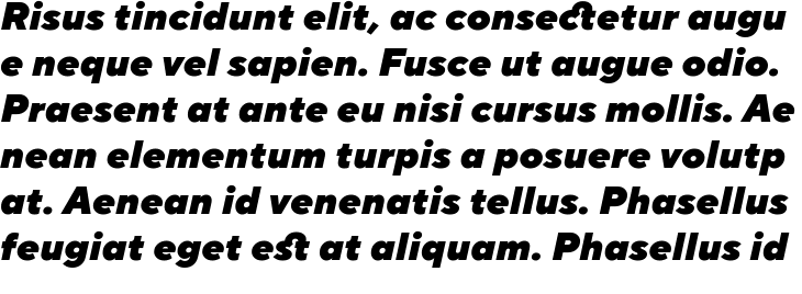 `TT Norms Black Italic` Preview
