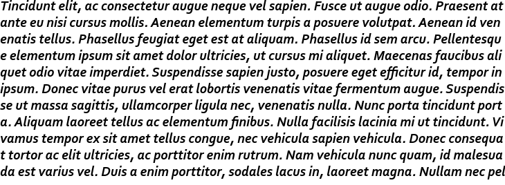`Corbel Bold Italic` Preview
