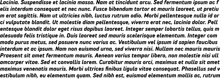 `TT Rounds Neue Bold Italic` Preview