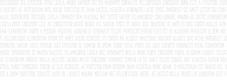 `The Serif Hand Light` Preview