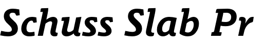 `Schuss Slab Pro Bold Italic` Preview
