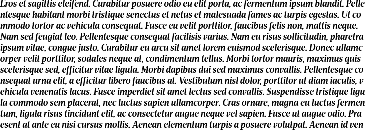 `Apud Bold Italic` Preview