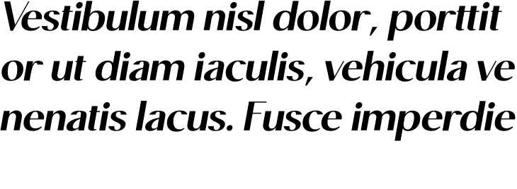 `Moneta Sans Oblique Black` Preview