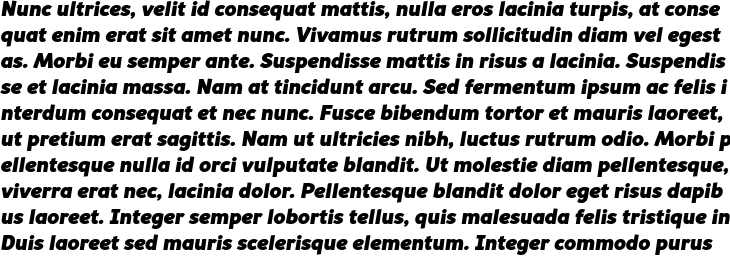 `Souses Black Italic` Preview