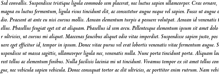 `Venetian 301 BT Bold Italic` Preview