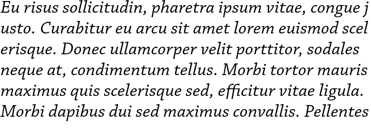 `Chaparral Pro Caption Italic` Preview