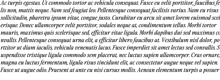 `Perfectly Nineties Italic` Preview