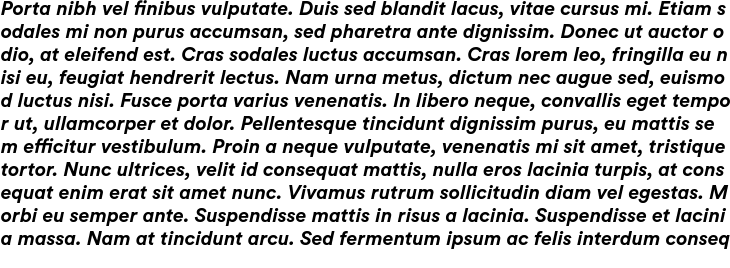 `Circular Std Bold Italic` Preview