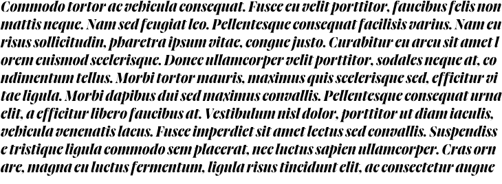`Joane Pro XL Ultra Bold Italic` Preview