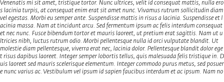 `Fedra Sans Pro Light Italic` Preview