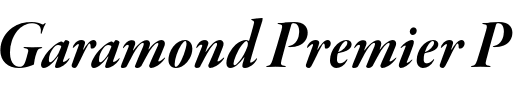 `Garamond Premier Pro Display Bold Italic` Preview