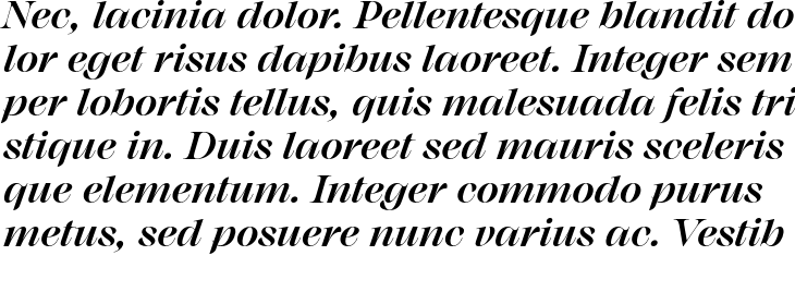 `Monarque Bold Italic` Preview