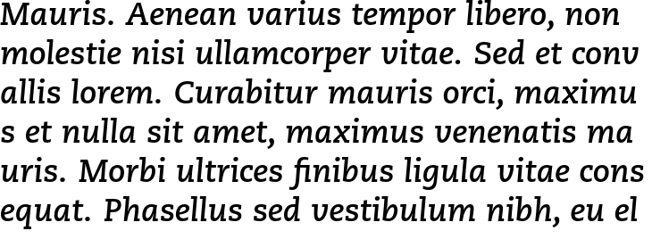 `Caecilia LT Std Bold Italic` Preview