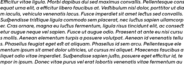 `TT Norms Medium Italic` Preview