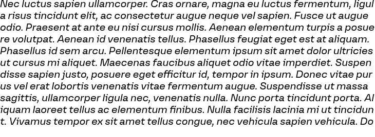 `Versos Test Italic` Preview
