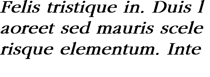 `Monotype Garamond Bold Italic` Preview