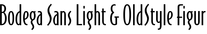 `Bodega Sans Light & OldStyle Figures` Preview