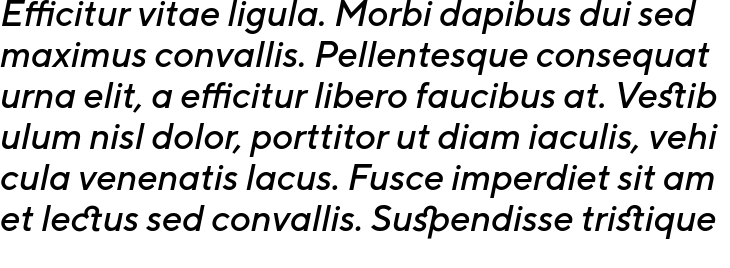 `TT Norms Medium Italic` Preview