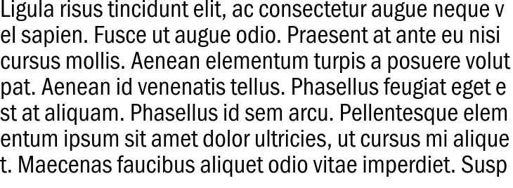 `ST Gothic Condensed Regular` Preview