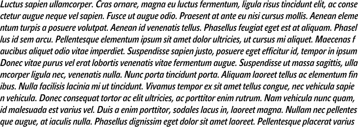 `John Sans Condensed Medium Italic` Preview