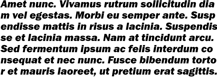 `Franklin Gothic Heavy Italic` Preview