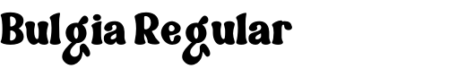 `Bulgia Regular` Preview