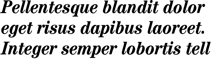 `ITC Century Condensed Bold Italic` Preview
