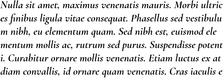 `Cormorant Garamond Bold Italic` Preview