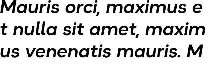 `Okta Neue Semi Bold italic` Preview