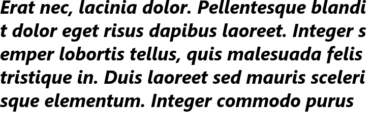 `Segoe UI Bold Italic` Preview