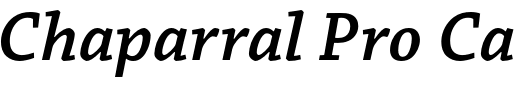 `Chaparral Pro Caption SemiBold Italic` Preview