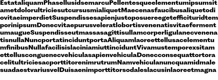 `PP Fragment Sans Extra Bold` Preview