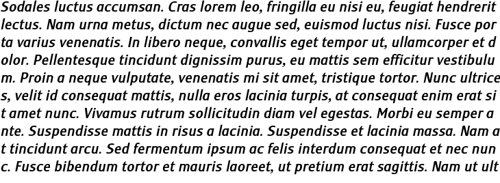 `Monem Medium Italic` Preview