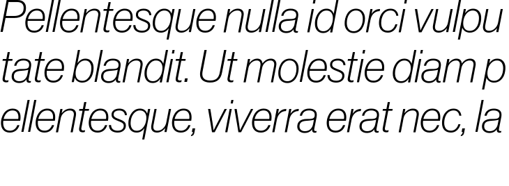 `Neue Haas Display Thin Italic` Preview