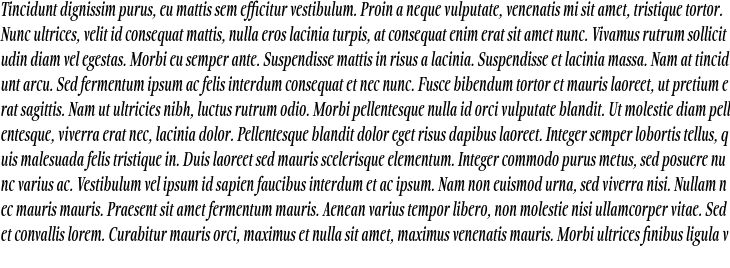 `Fionas Bold Italic` Preview