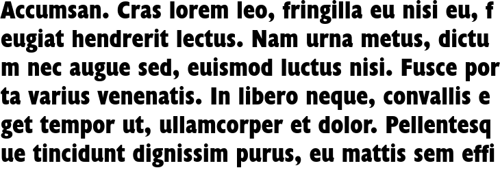 `Humanist 521 BT ExtraBold Condensed` Preview