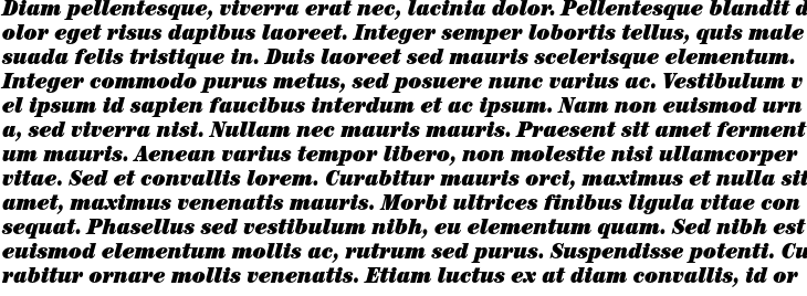 `Century Std Ultra Italic Condensed` Preview